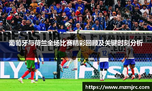 博鱼.体育官网
